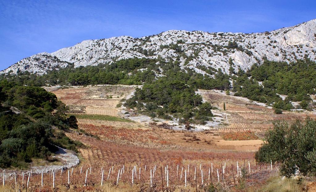 Apartmani Zaninovic Lägenhet Sveta Nedelja (Hvar)
